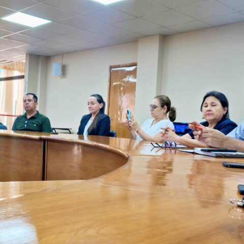 Presentación de investigación