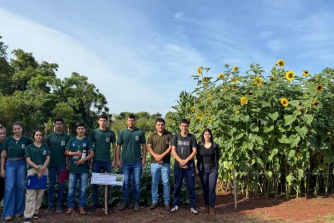 factores climáticos.