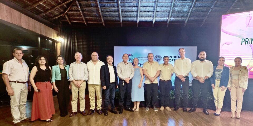 principios cooperativos