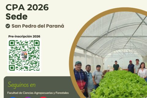 promoción2026 (4)