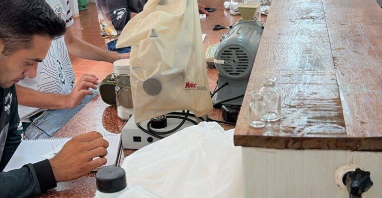 656490270_1436782995129265_4164502591470812469_n