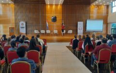 capacitación aneaes