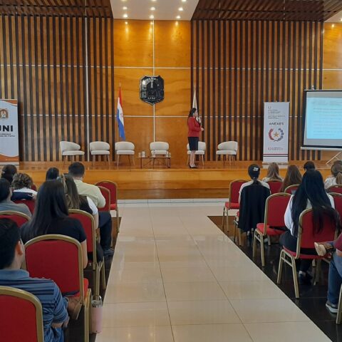 capacitación aneaes