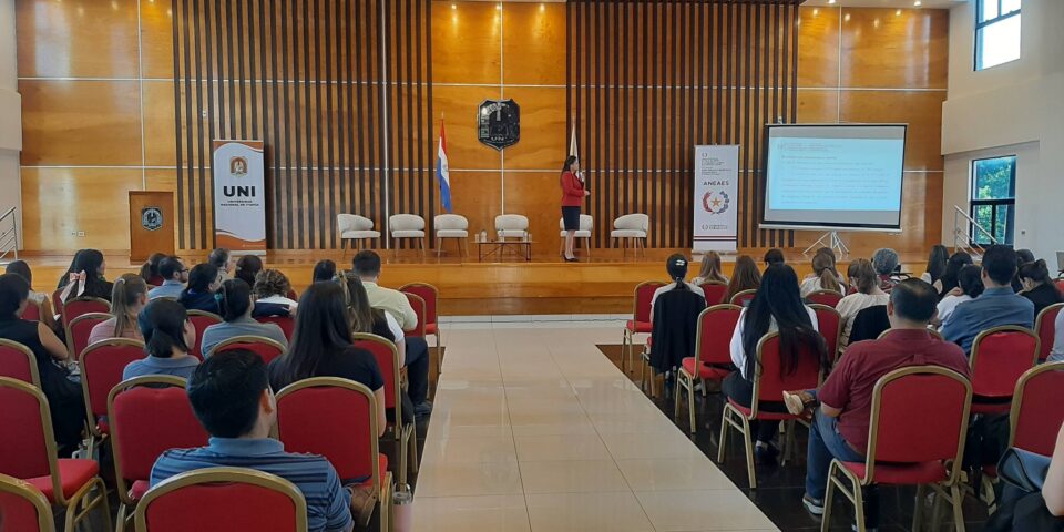 capacitación aneaes