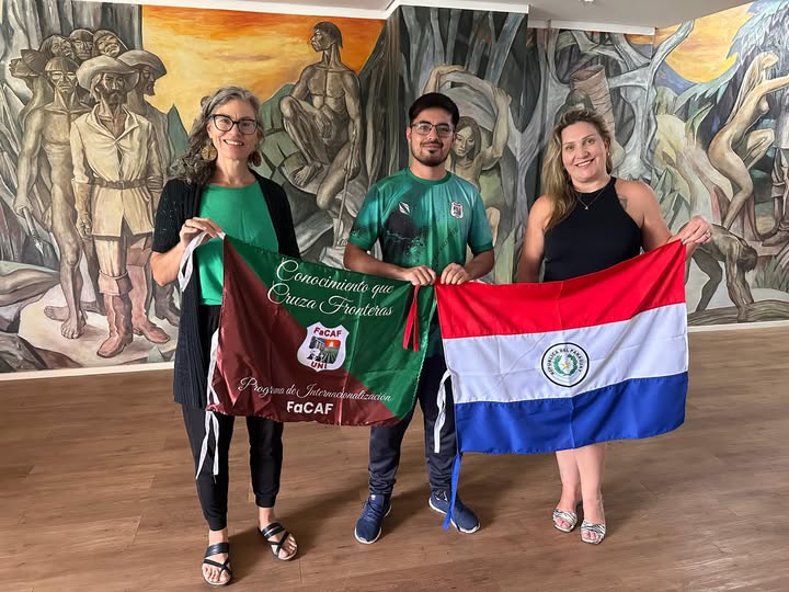 llegada movilidad estudiantil