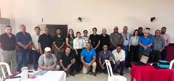 plataforma yerba mate