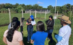 proyecto midiendo lluvias