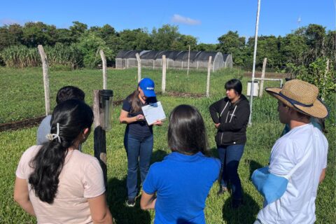 proyecto midiendo lluvias