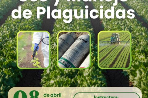 uso plaguicida