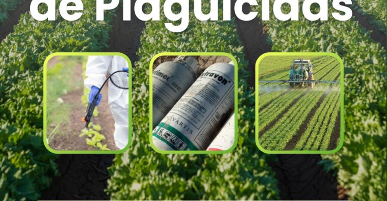 uso plaguicida