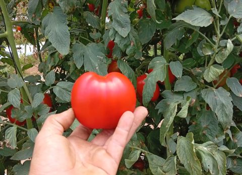 678926203_1466237785517119_6663056024058538240_n