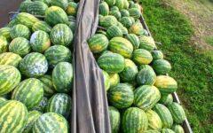 679077026_1466228495518048_7654075859882895588_n