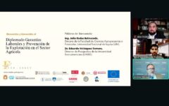 dip explotación laboral (1)