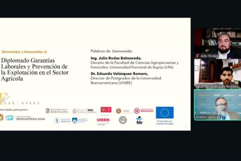 dip explotación laboral (1)