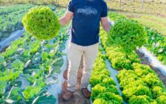 emprendimieto egresado (4)