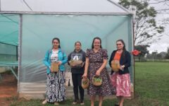 entrega de insumos spp (3)