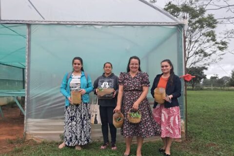 entrega de insumos spp (3)