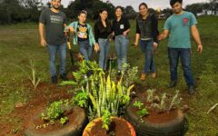 huerto medicinal spp (2)