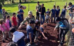 instalación de huerta escolar (2)