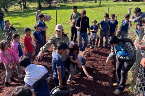 instalación de huerta escolar (2)
