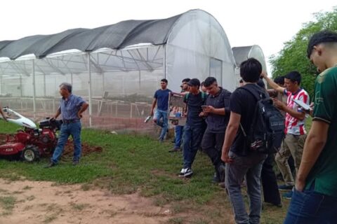 maquinarias - artigas