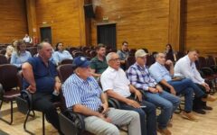 plataformas sustentables