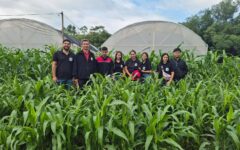 tipos de forraje (3)