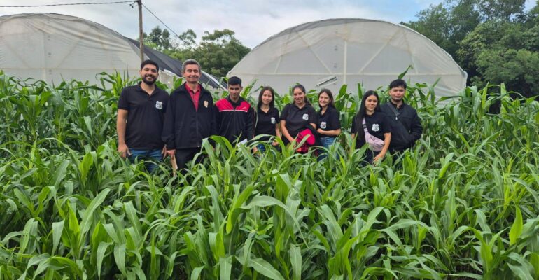 tipos de forraje (3)