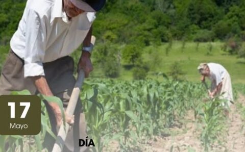 Agricultura familiar