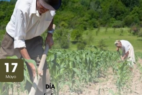 Agricultura familiar
