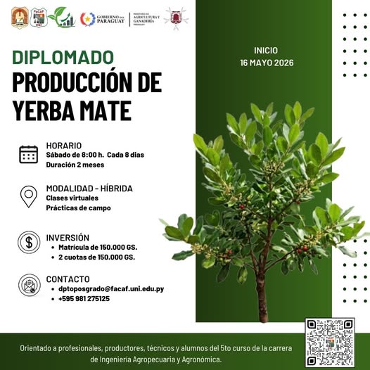 dip yerba mate