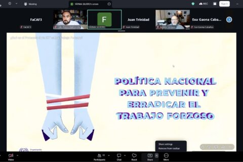 diplomado garantías laborales (1)