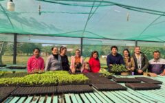 entrega de plantines spp (3)