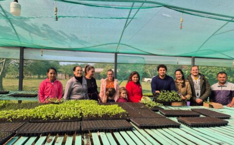 entrega de plantines spp (3)