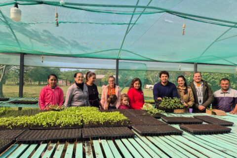 entrega de plantines spp (3)