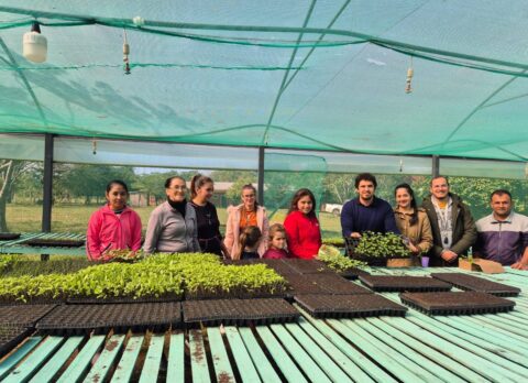 entrega de plantines spp (3)