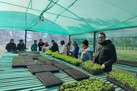 entrega de plantines spp (6)