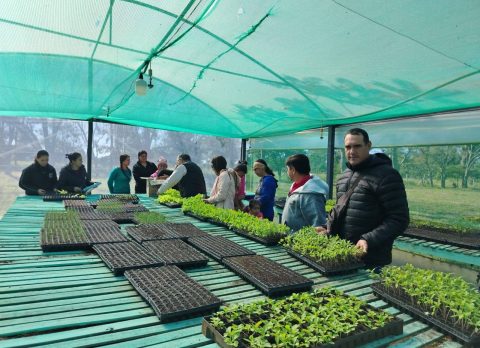 entrega de plantines spp (6)