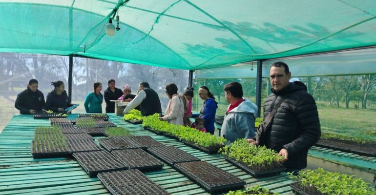 entrega de plantines spp (6)