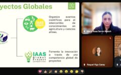 iaas (2)
