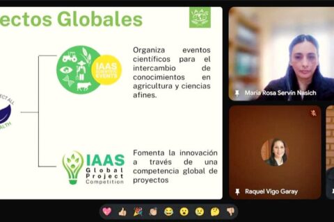 iaas (2)