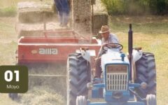 trabajador