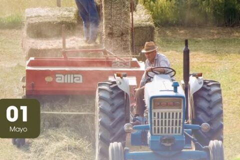 trabajador
