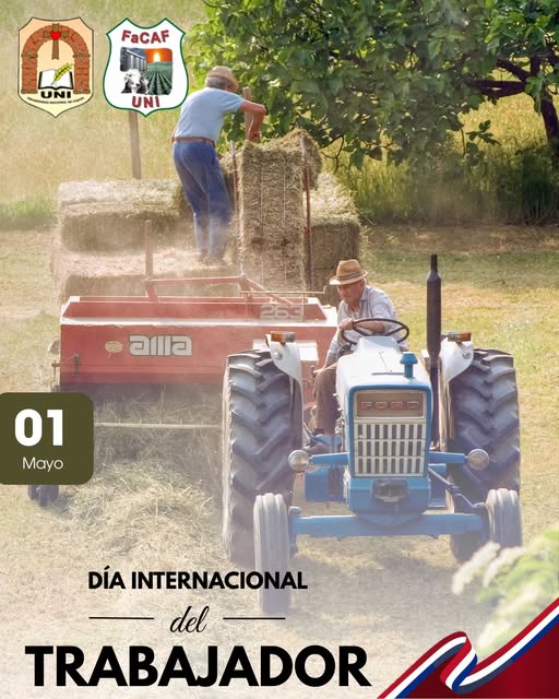 trabajador
