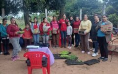 asistencia técnica (1)