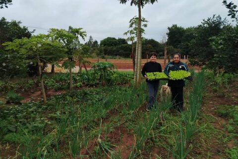 entrega de plantines (2)
