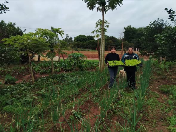 entrega de plantines (2)