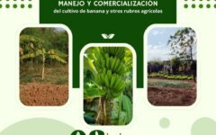 presentación de resultados (1)