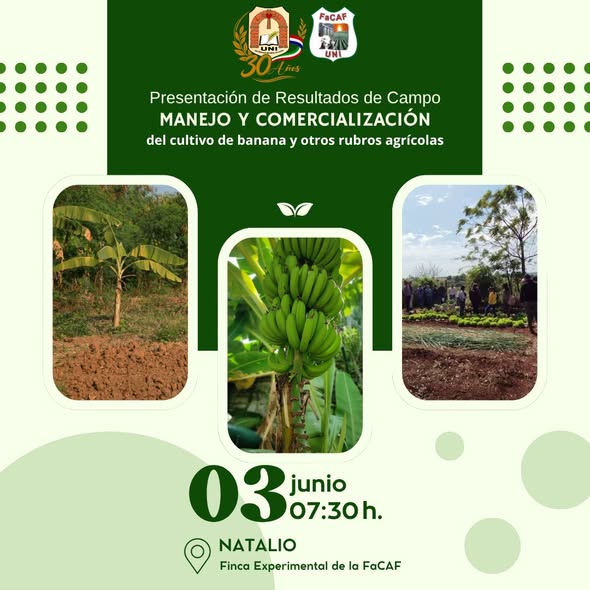 presentación de resultados (1)