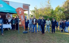 presentación de resultados investigación (3)